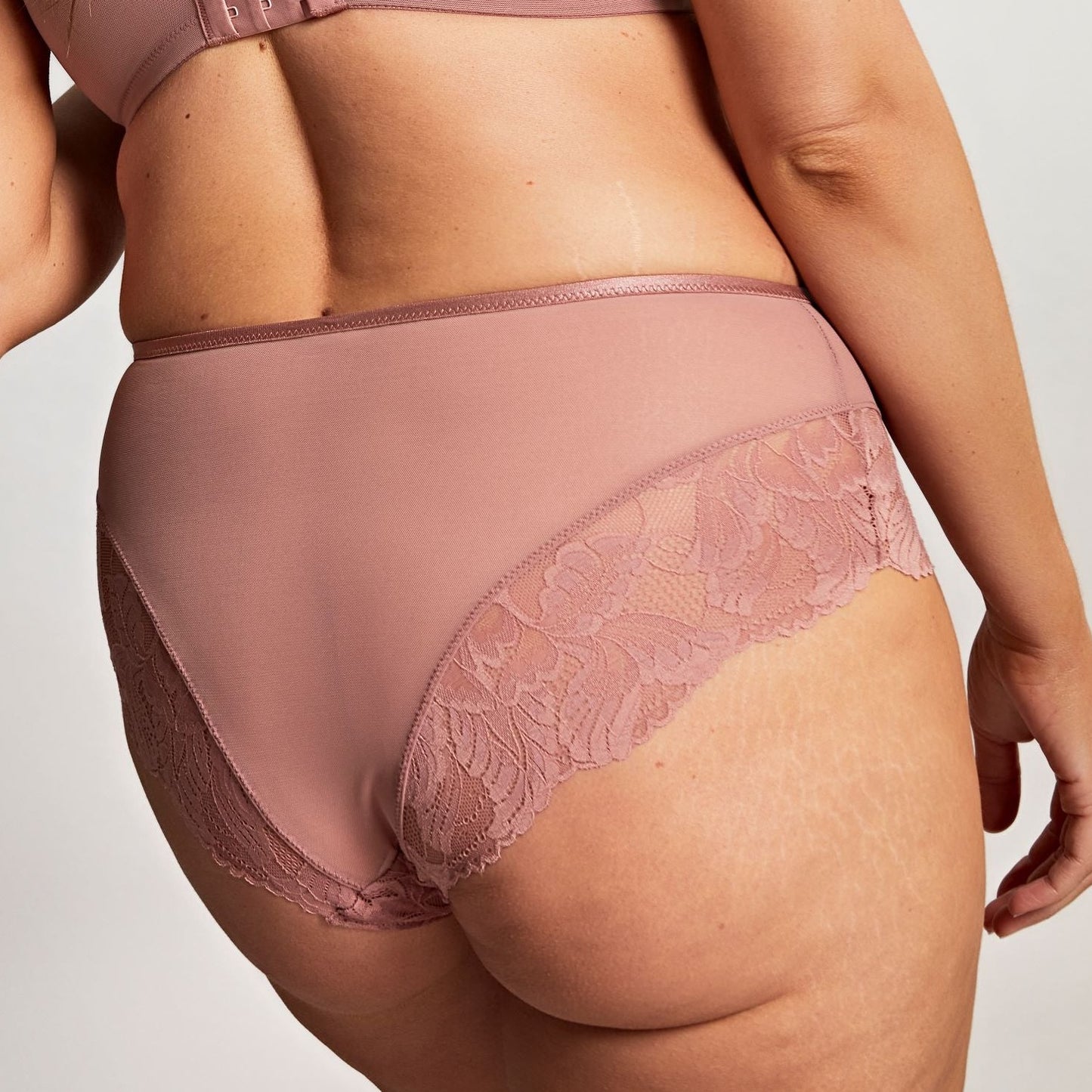 Radiance Deep Brief - 10464 - Ash Rose Bras & Lingerie - Underwear - Brief Panache