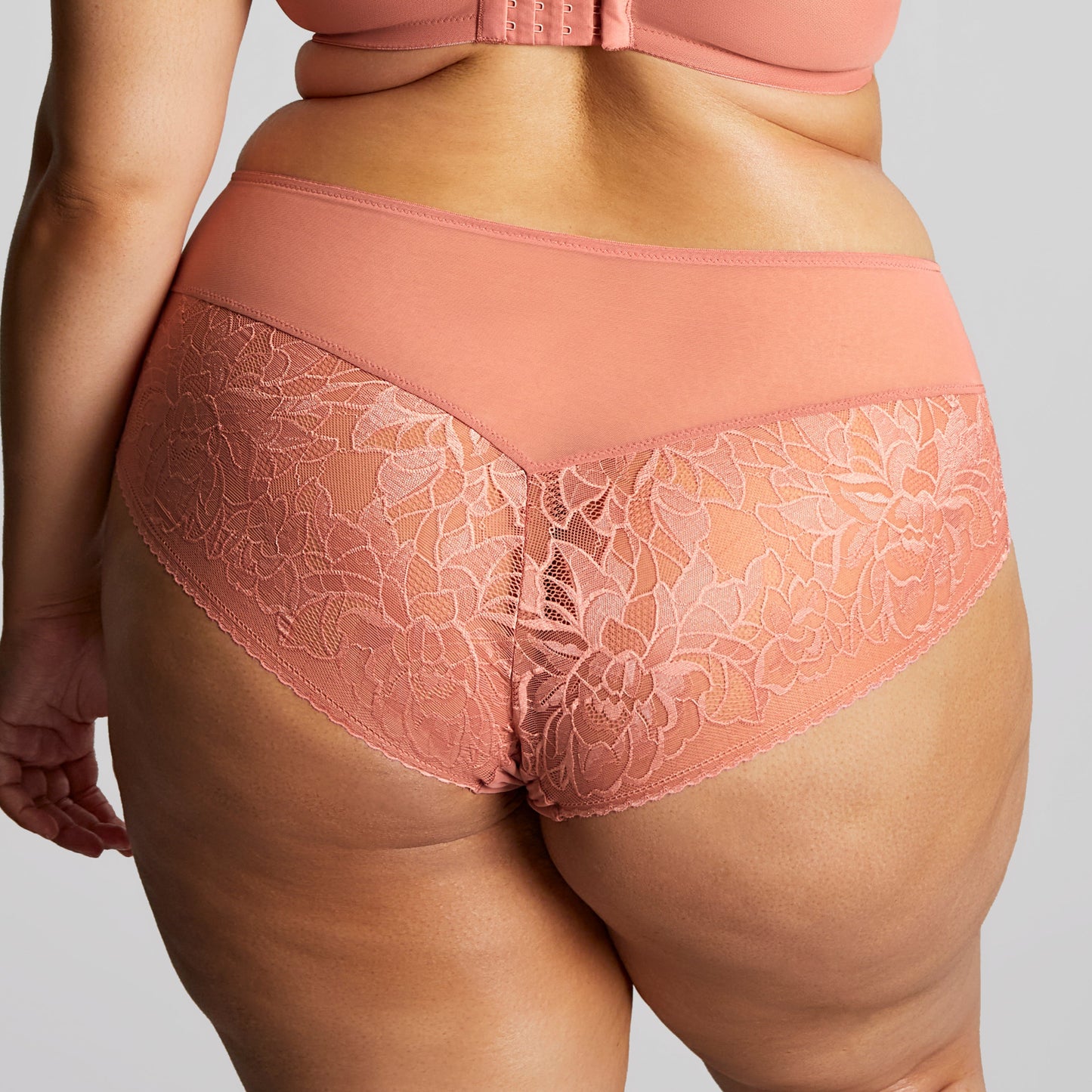 Dream Deep Brief - 10804 - Rose Bras & Lingerie - Underwear - Brief Sculptresse