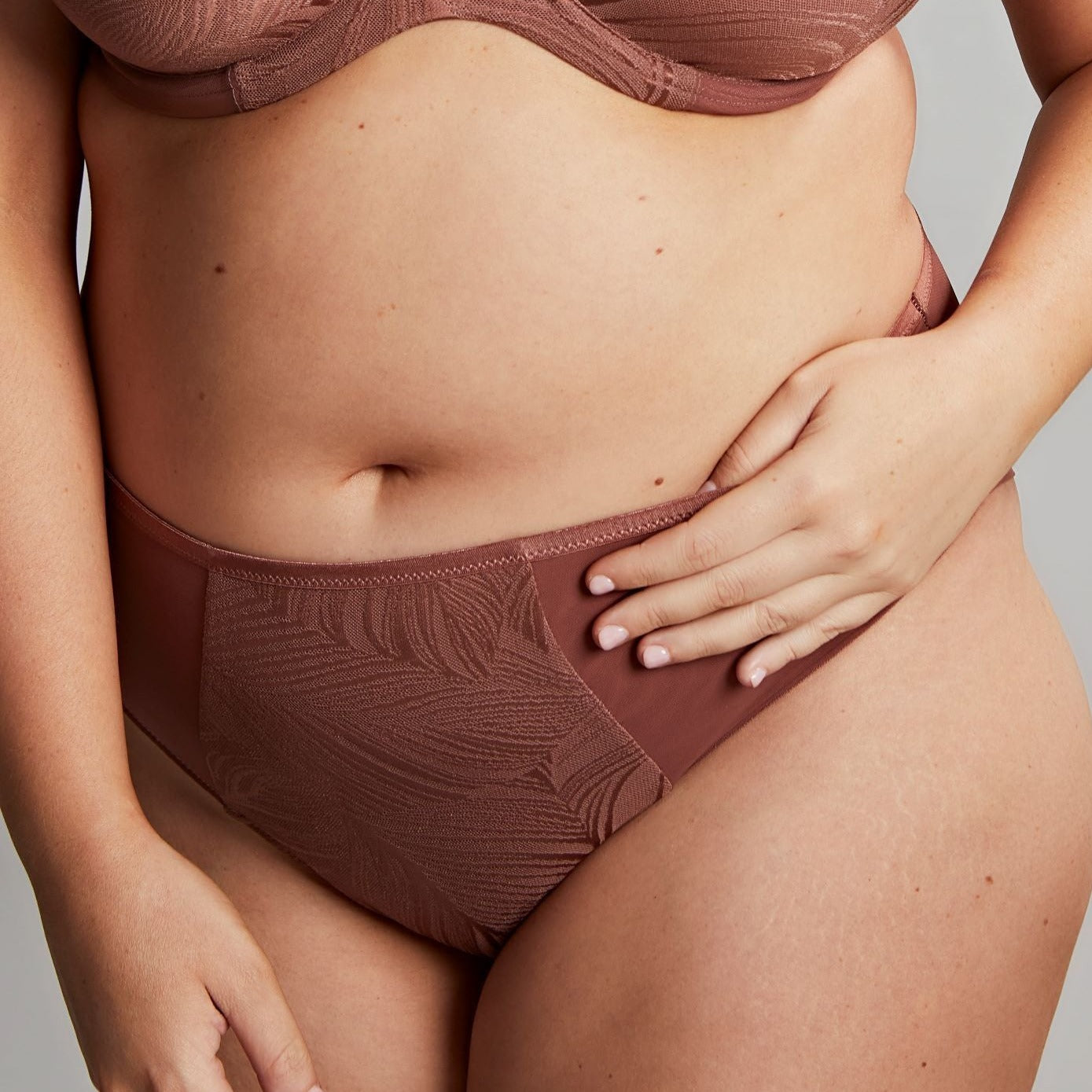 Illuminate Deep Brief - 10704 - Burlwood Bras & Lingerie - Underwear - Brief Sculptresse BROWN M