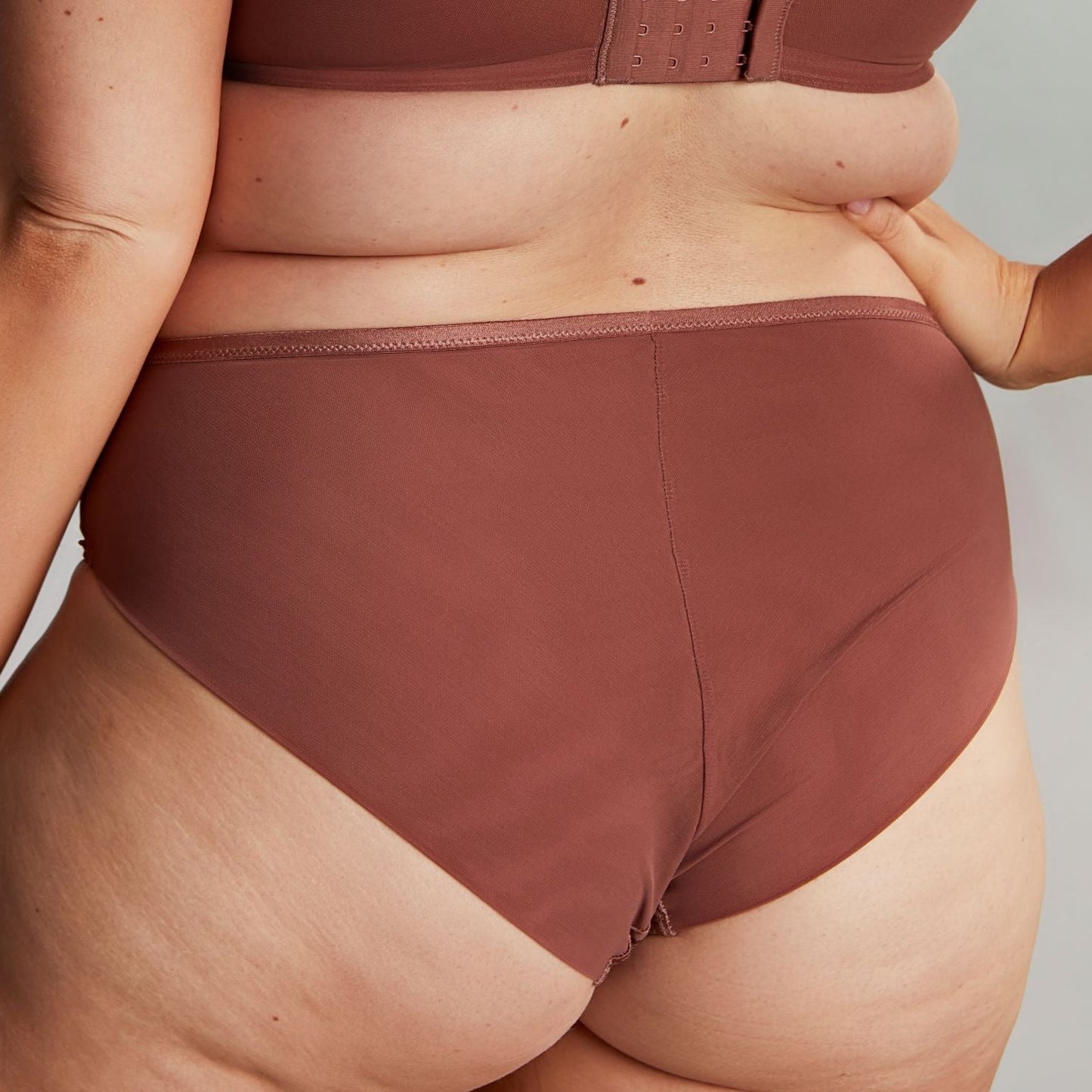 Illuminate Deep Brief - 10704 - Burlwood Bras & Lingerie - Underwear - Brief Sculptresse