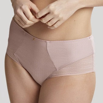 Serene Deep Brief - 10304 - Vintage Bras & Lingerie - Underwear - Brief Panache Lingerie 10 PINK