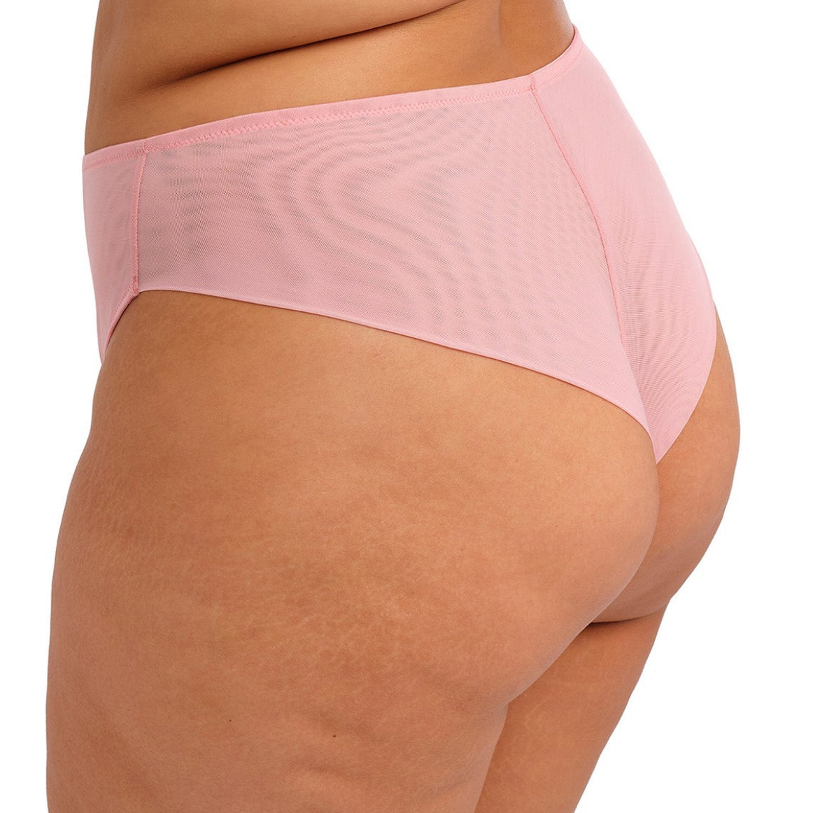 Aerith Brief - 303650 - Rose Bras & Lingerie - Underwear - Full Brief Elomi