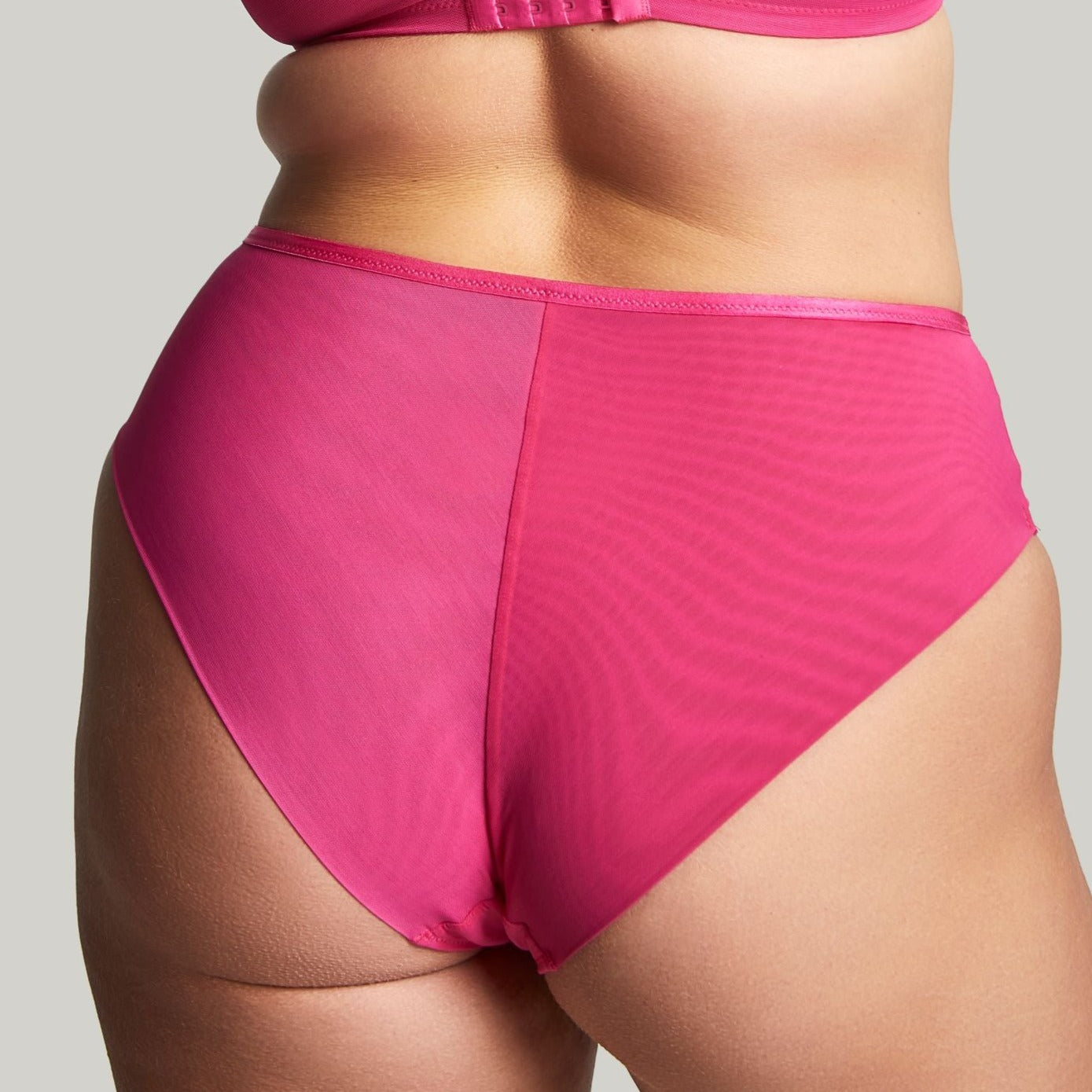 Harmony Deep Brief - 10834 - Hot Pink Bras & Lingerie - Underwear - Brief Panache   