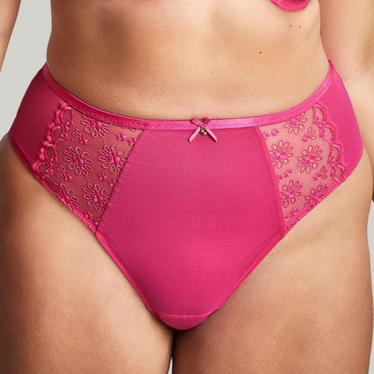 Harmony Deep Brief - 10834 - Hot Pink Bras & Lingerie - Underwear - Brief Panache PINK L 
