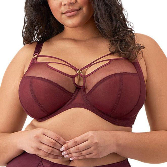 Sachi Underwire Plunge Bra - EL4350 - Cabernet Bras & Lingerie - Bras - Underwire Bras Elomi   