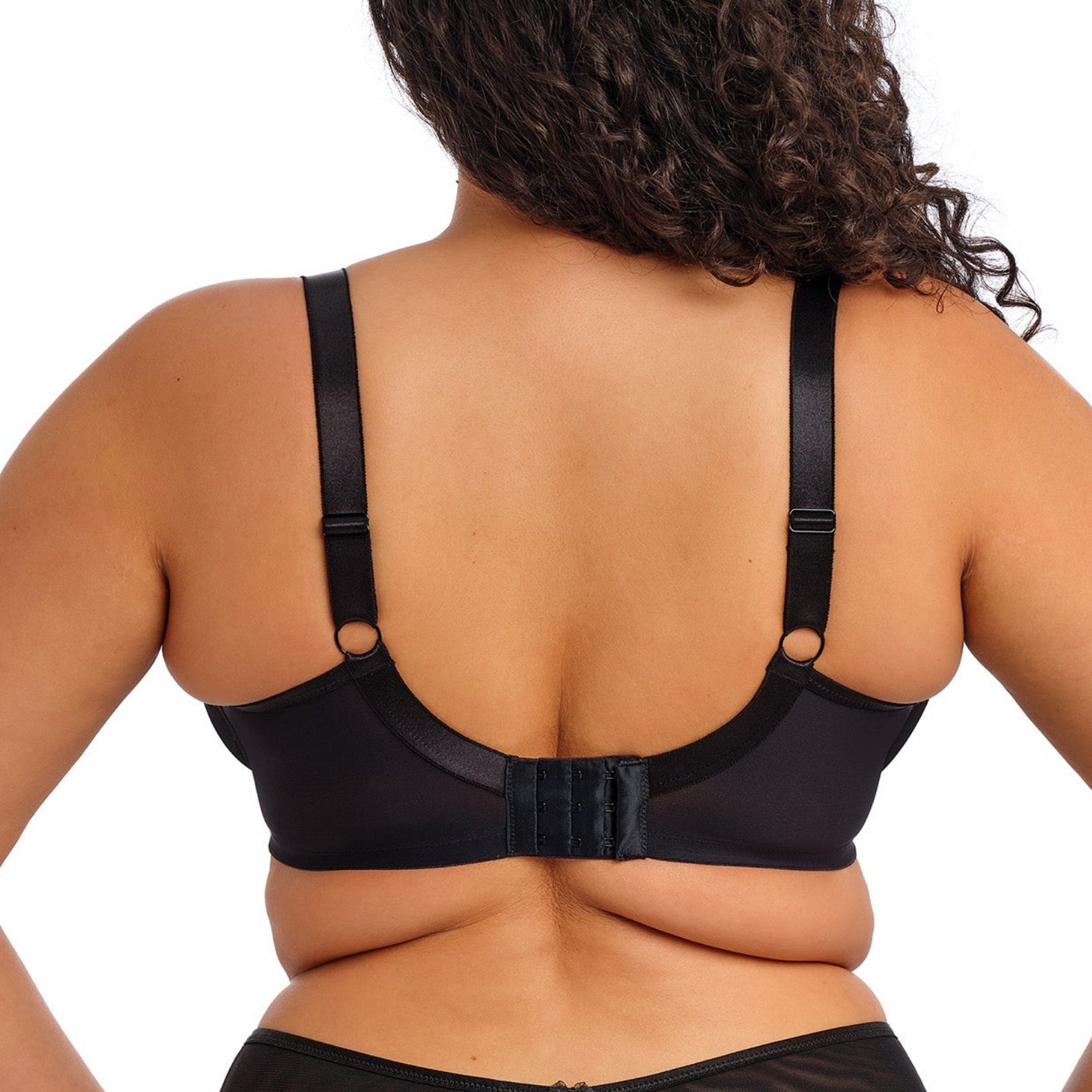 Teagan UW Plunge - EL302602 - Rainbow Bras & Lingerie - Bras - Underwire Bras Elomi