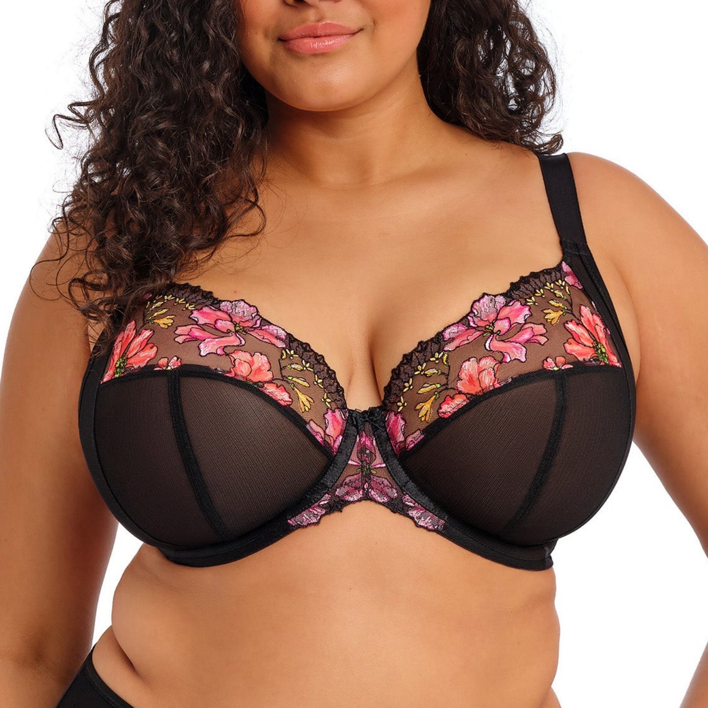 Teagan UW Plunge - EL302602 - Rainbow Bras & Lingerie - Bras - Underwire Bras Elomi